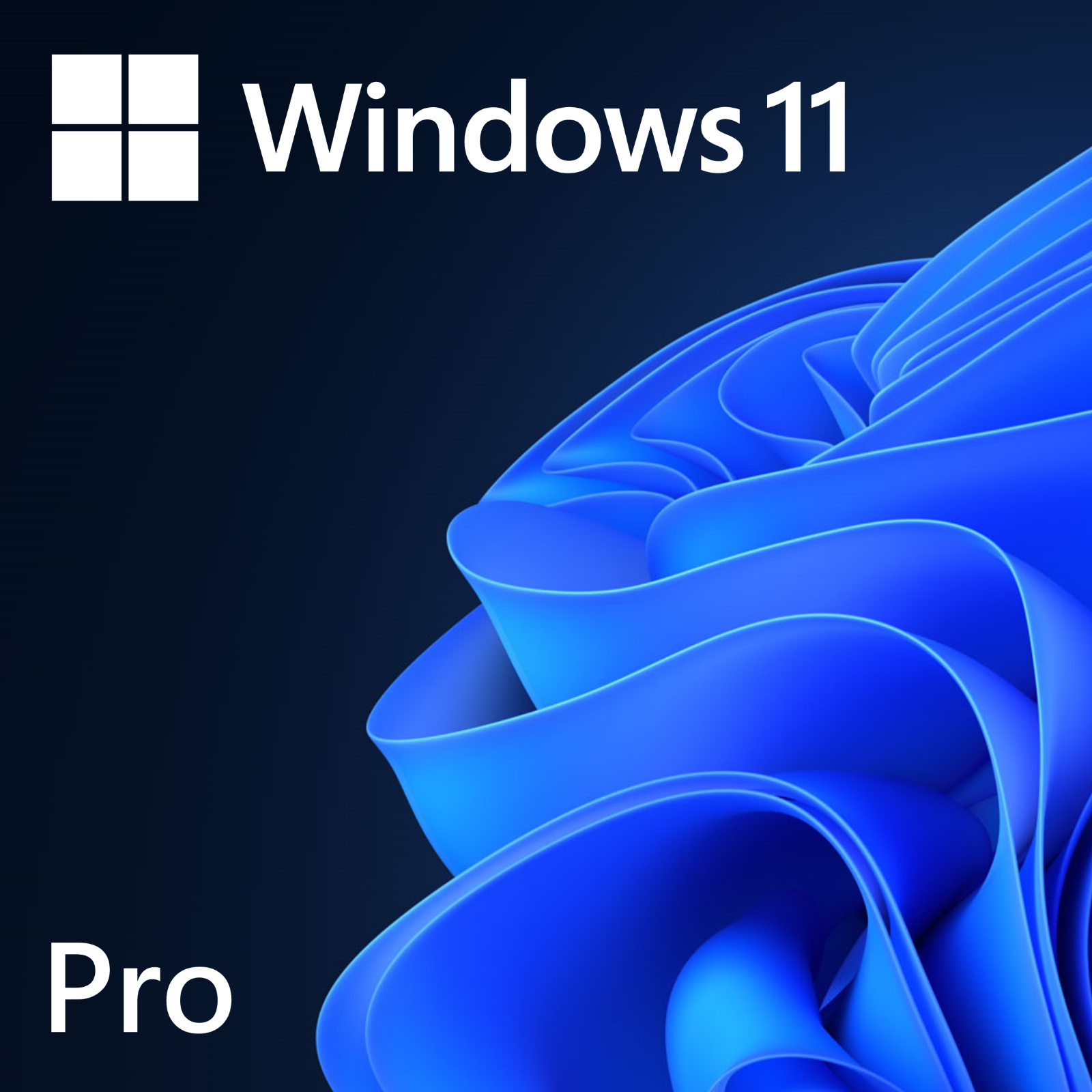 Microsoft Windows 10 Professional 64bit